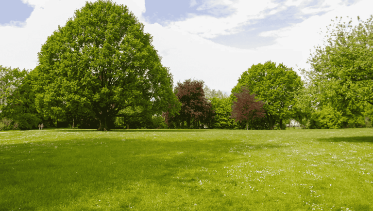 Lightweight Lawn Mower feature image